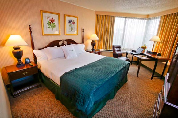 hotels12 5